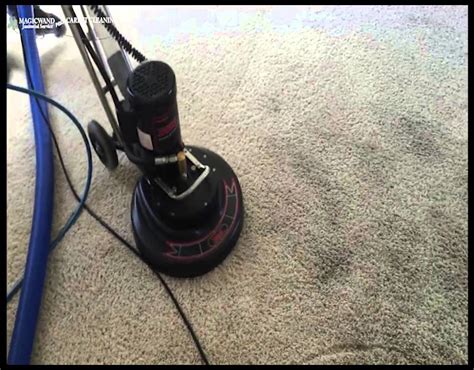 Magic Carpet Cleaning: DIY vs. Professional Services
